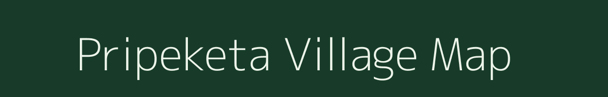 Pripeketa village map in Odisha