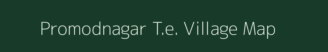 Promodnagar T.e. village map in Assam