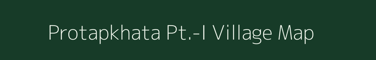 Protapkhata Pt.-I village map in Assam