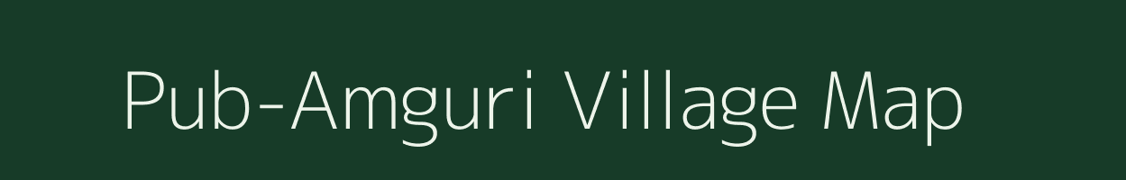 Pub-Amguri village map in Assam