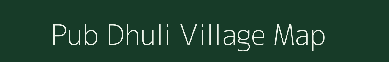 Pub Dhuli village map in Assam