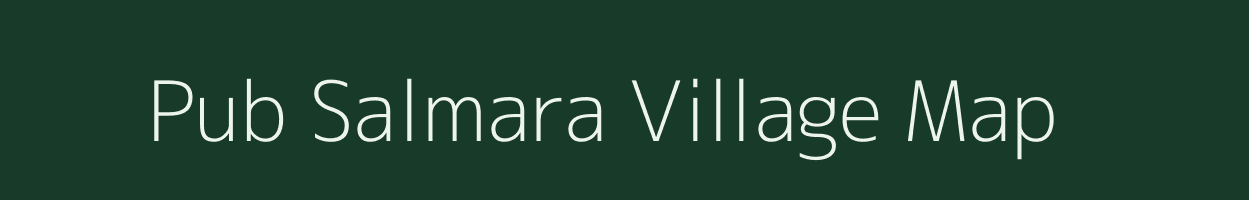 Pub Salmara village map in Assam