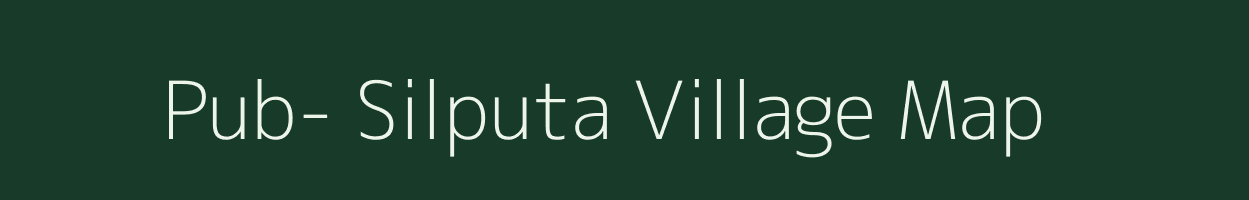 Pub- Silputa village map in Assam
