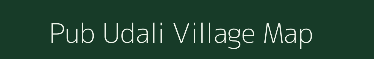 Pub Udali village map in Assam
