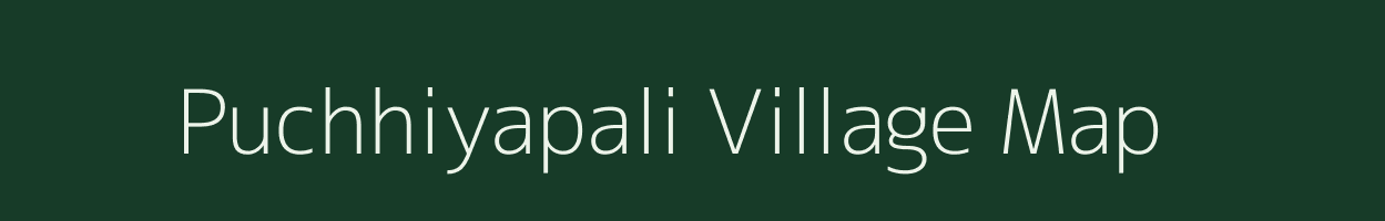 Puchhiyapali village map in Chhattisgarh