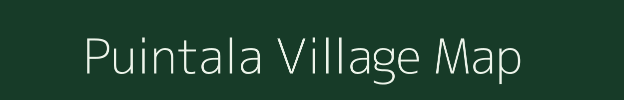 Puintala village map in Odisha