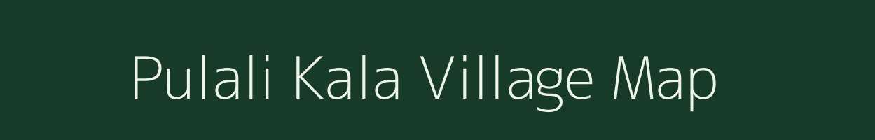 Pulali Kala village map in Chhattisgarh