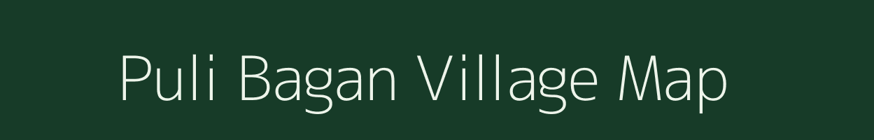 Puli Bagan village map in Assam