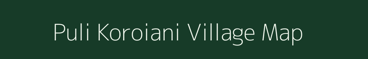 Puli Koroiani village map in Assam