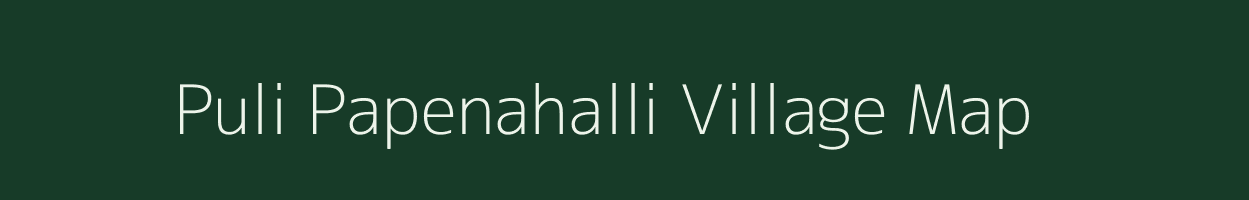 Puli Papenahalli village map in Karnataka