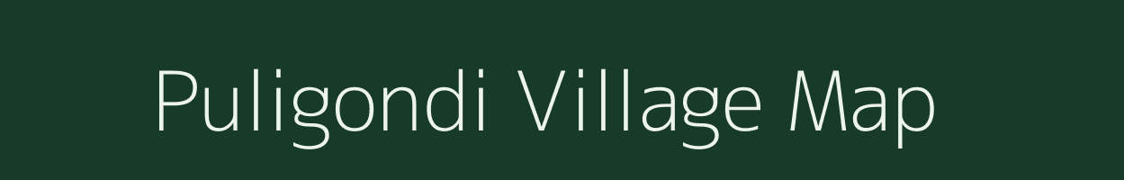 Puligondi village map in Andhra Pradesh