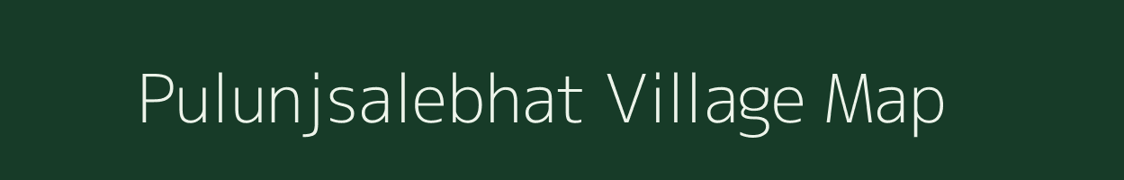 Pulunjsalebhat village map in Chhattisgarh