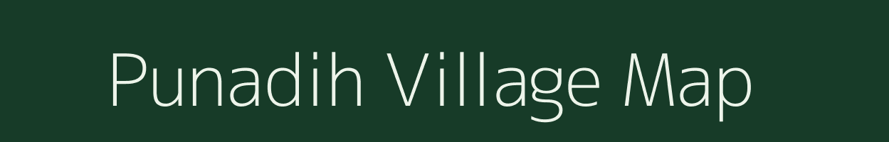 Punadih village map in Bihar