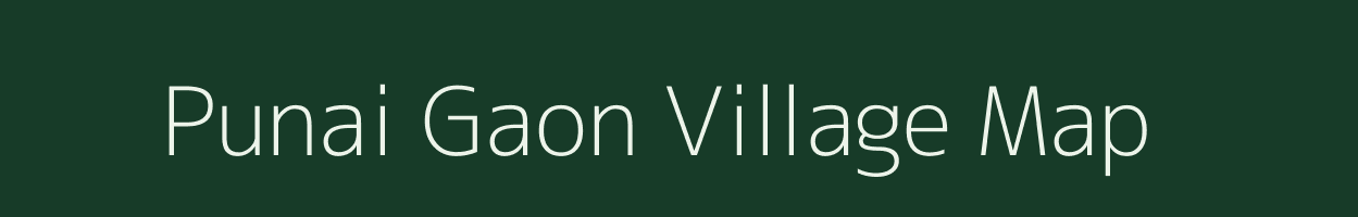 Punai Gaon village map in Assam