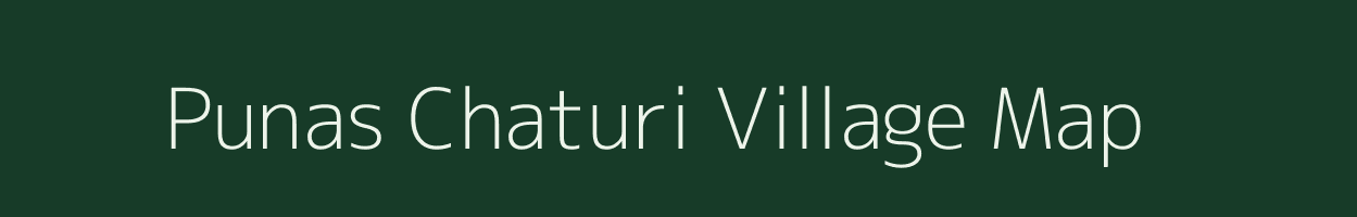 Punas Chaturi village map in Bihar