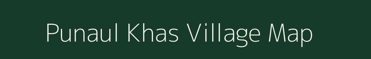 Punaul Khas village map in Madhya Pradesh
