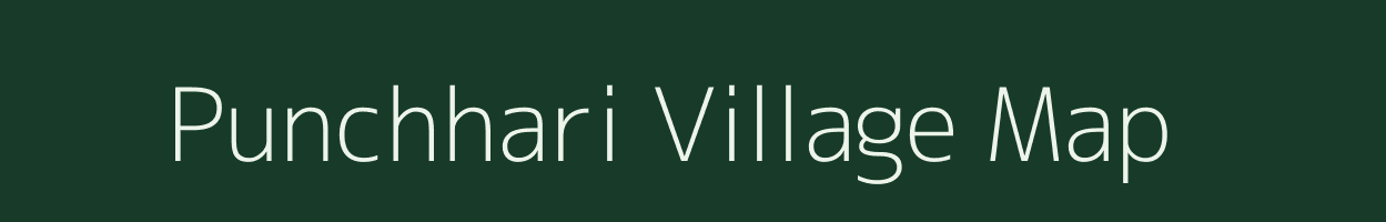 Punchhari village map in Madhya Pradesh