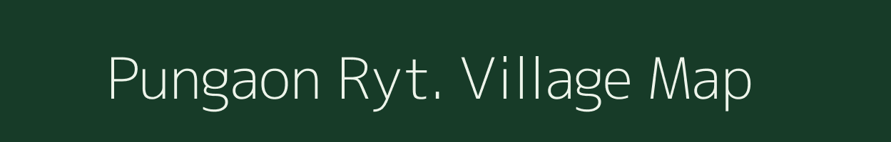 Pungaon Ryt. village map in Madhya Pradesh