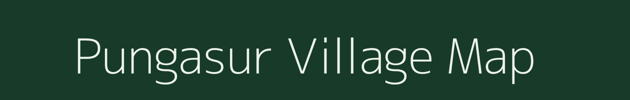 Pungasur village map in Maharashtra