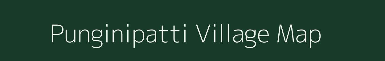 Punginipatti village map in Tamil Nadu