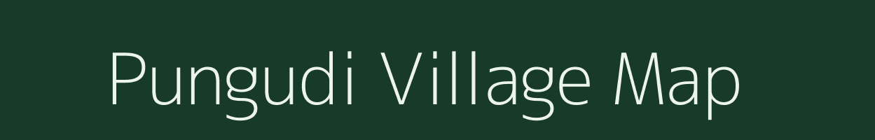 Pungudi village map in Tamil Nadu