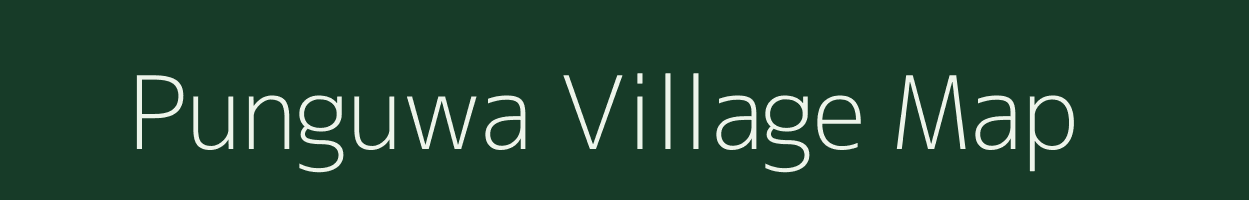 Punguwa village map in Madhya Pradesh