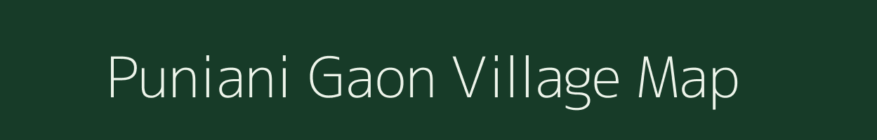 Puniani Gaon village map in Assam