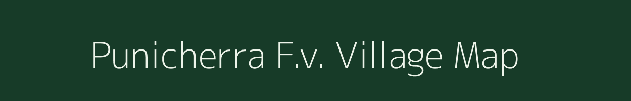 Punicherra F.v. village map in Assam