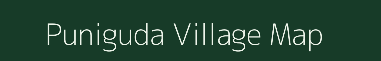 Puniguda village map in Odisha