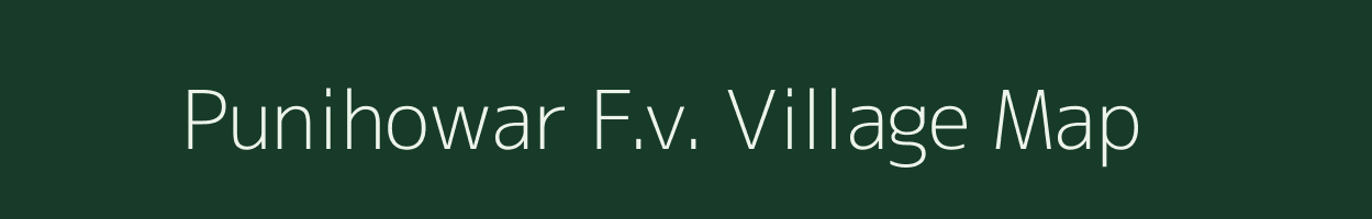 Punihowar F.v. village map in Assam