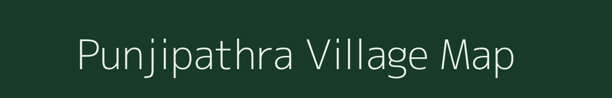 Punjipathra village map in Chhattisgarh