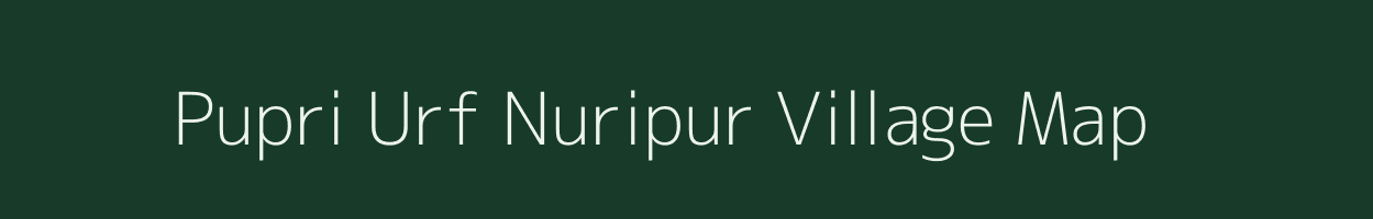 Pupri Urf Nuripur village map in Bihar