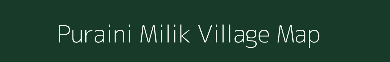 Puraini Milik village map in Bihar