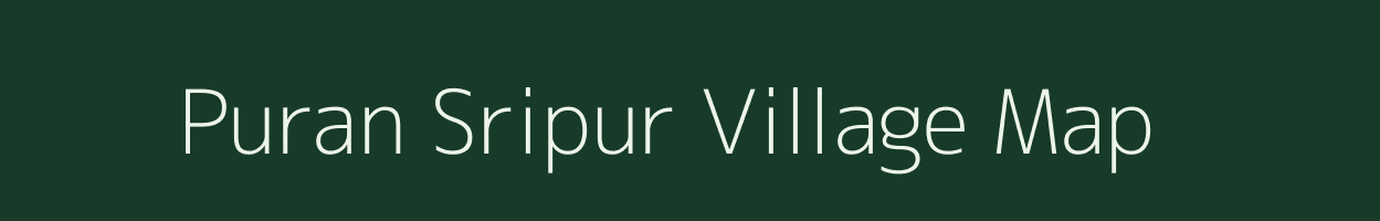 Puran Sripur village map in Assam