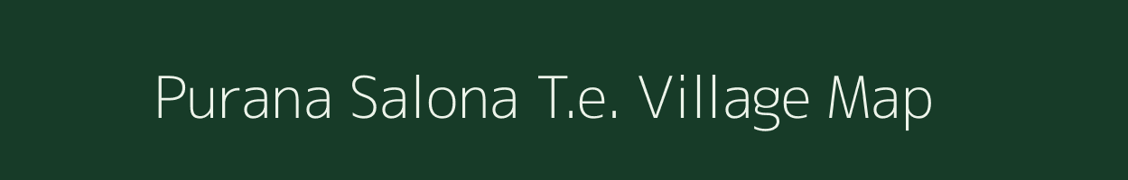 Purana Salona T.e. village map in Assam