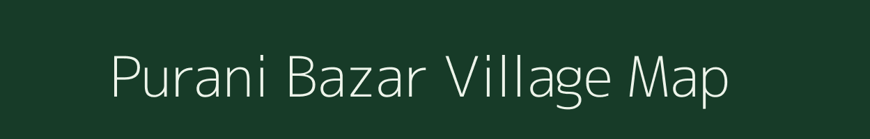 Purani Bazar village map in Uttar Pradesh