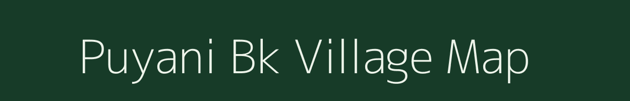 Puyani Bk village map in Maharashtra