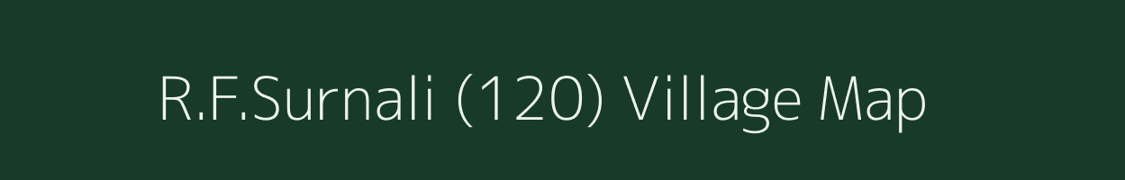 R.F.Surnali (120) village map in Himachal Pradesh