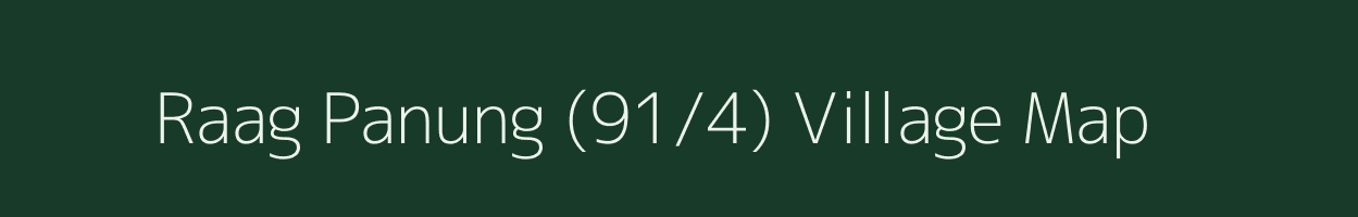 Raag Panung (91/4) village map in Himachal Pradesh