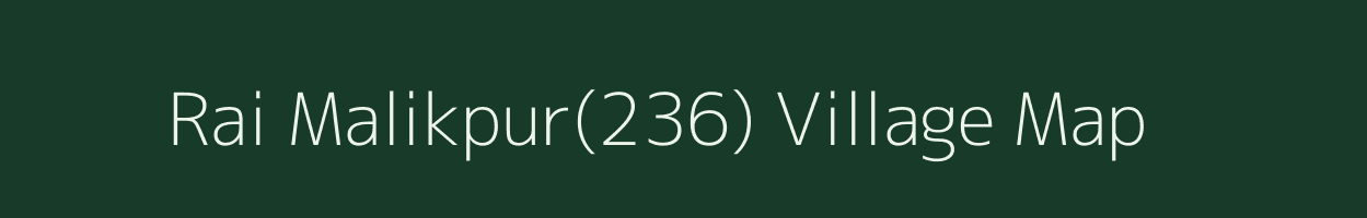 Rai Malikpur(236) village map in Haryana