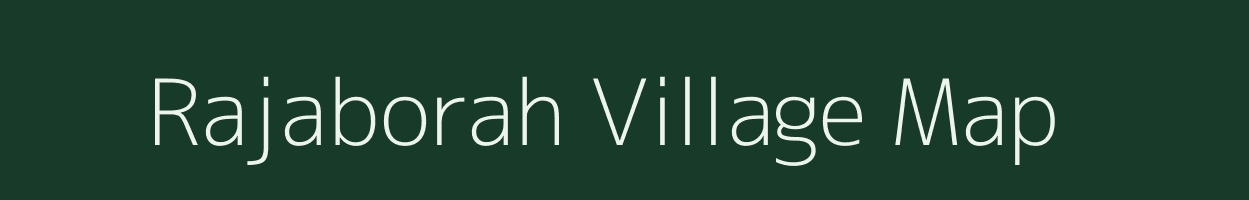 Rajaborah village map in Assam