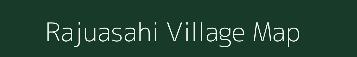 Rajuasahi village map in Odisha