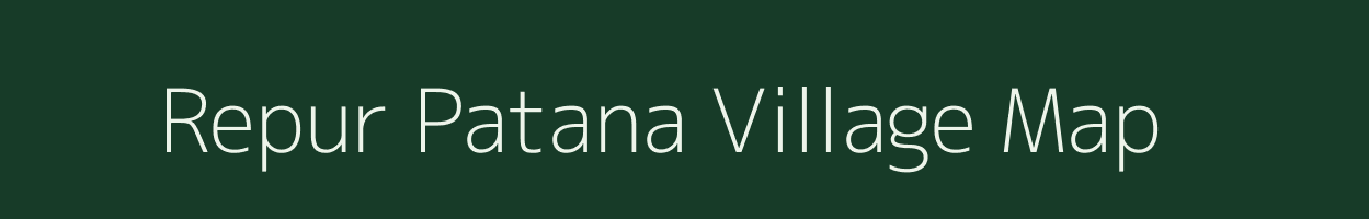 Repur Patana village map in Odisha