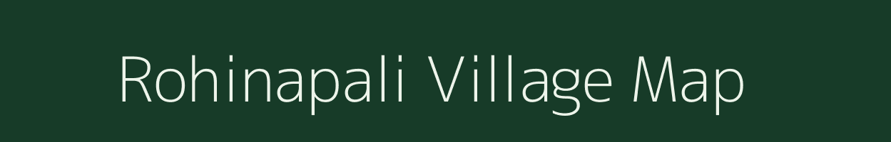 Rohinapali village map in Chhattisgarh