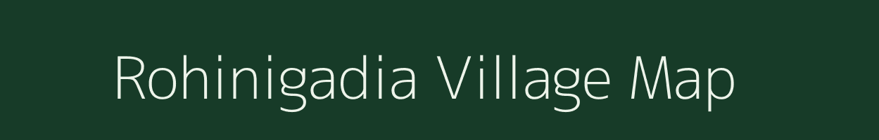 Rohinigadia village map in Odisha