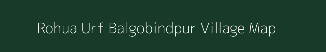 Rohua Urf Balgobindpur village map in Bihar