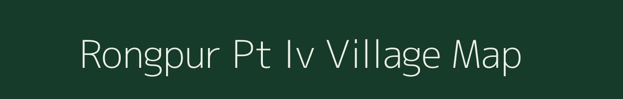 Rongpur Pt Iv village map in Assam