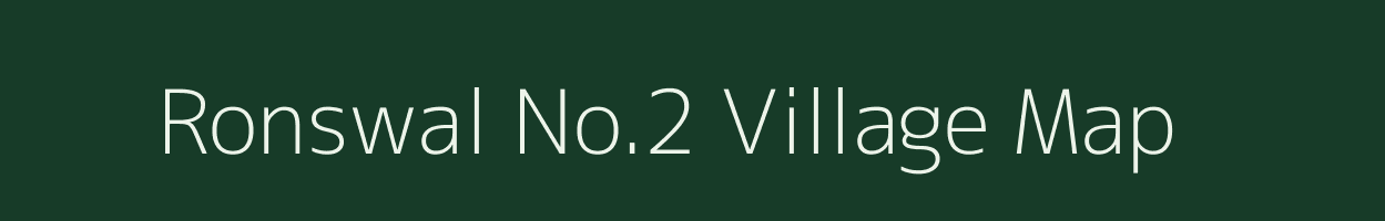 Ronswal No.2 village map in Assam