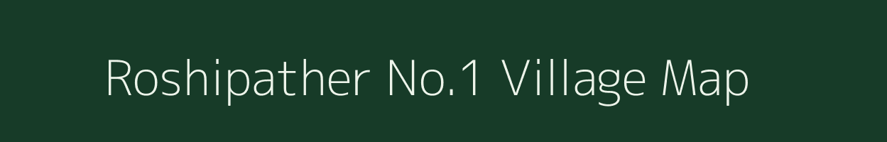 Roshipather No.1 village map in Assam