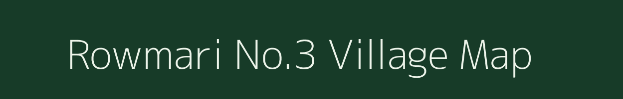 Rowmari No.3 village map in Assam